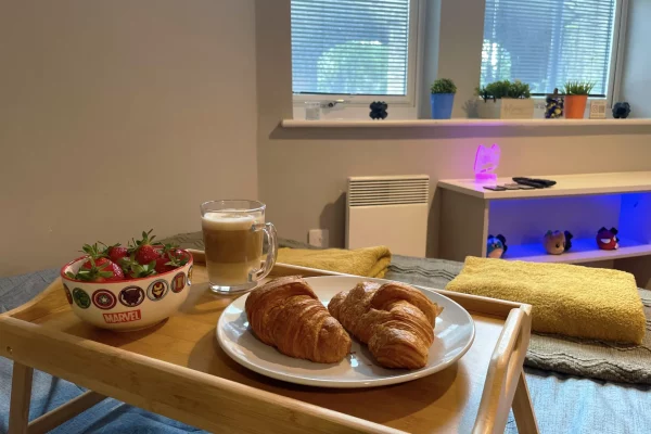 meal
